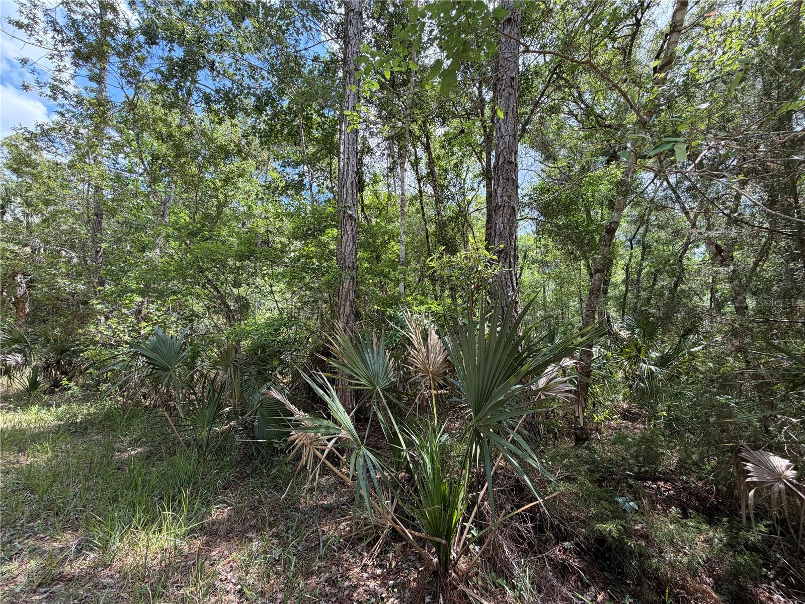 Image 19 of 29 For Tbd Cr-347  