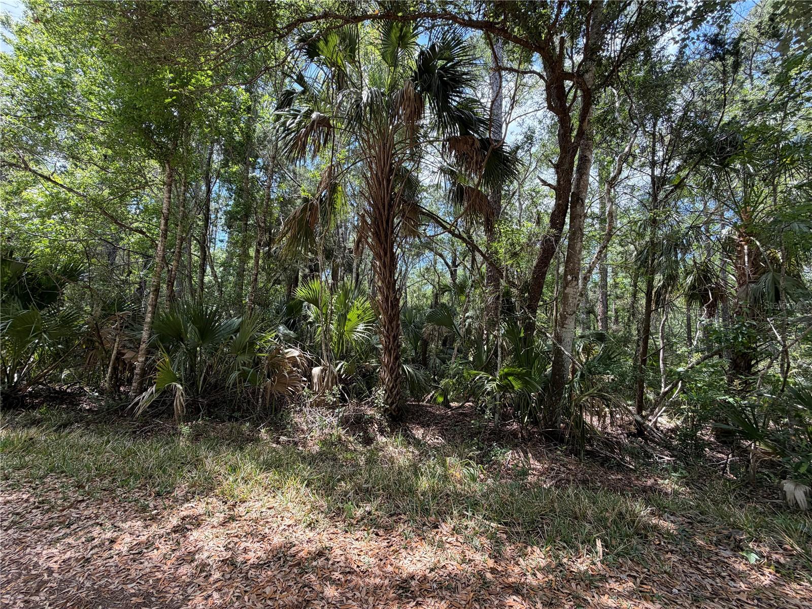 Image 20 of 29 For Tbd Cr-347  
