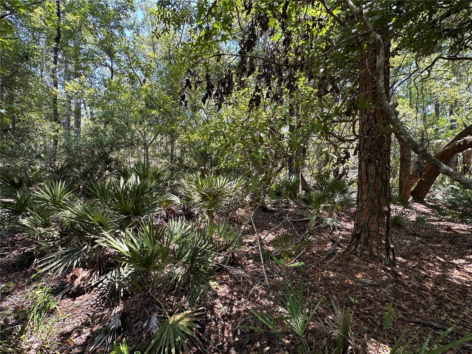 Image 25 of 29 For Tbd Cr-347  