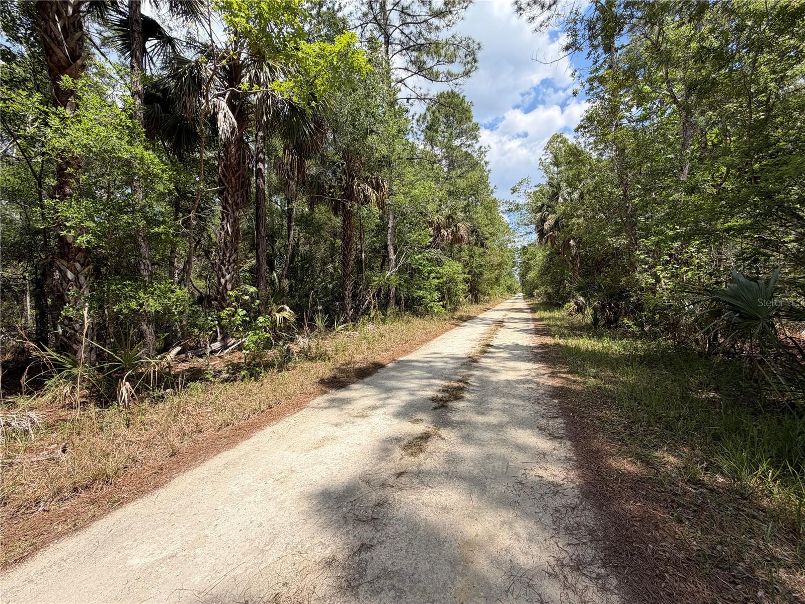 Image 9 of 29 For Tbd Cr-347  