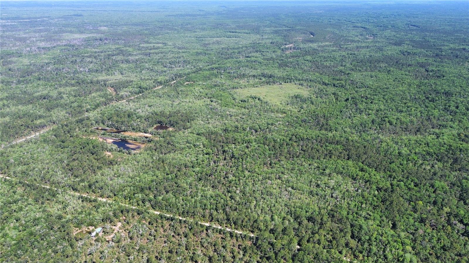 Image 12 of 29 For Tract 99 Cr-347