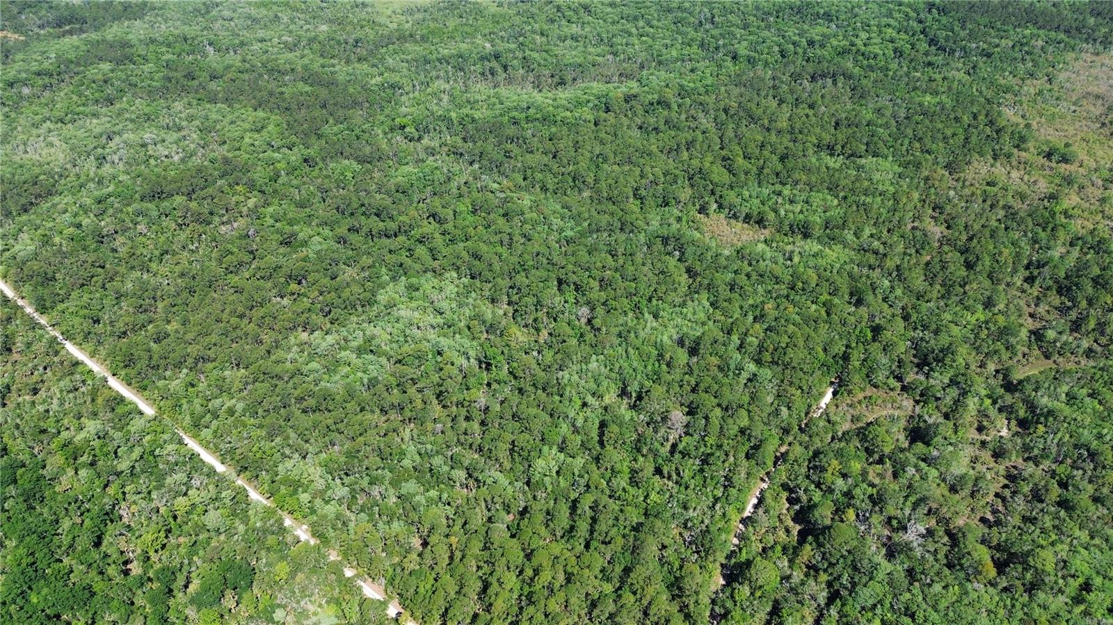 Image 13 of 29 For Tract 99 Cr-347