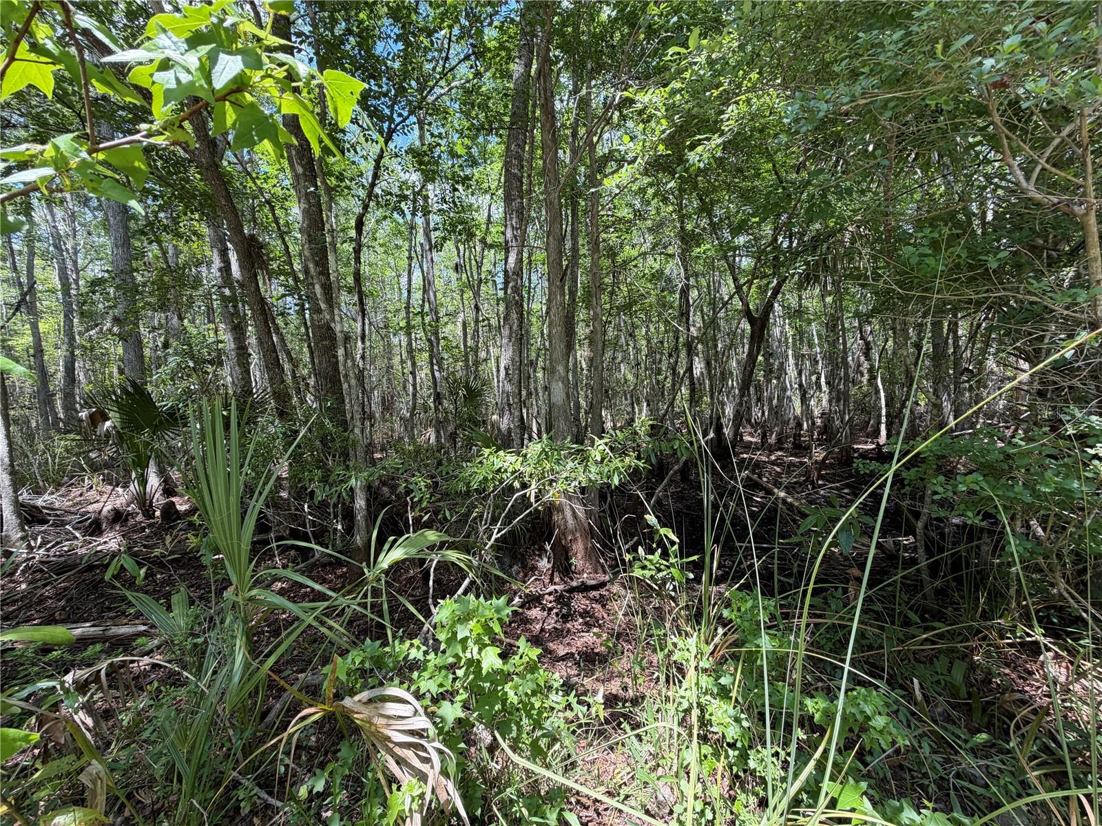 Image 16 of 29 For Tract 99 Cr-347