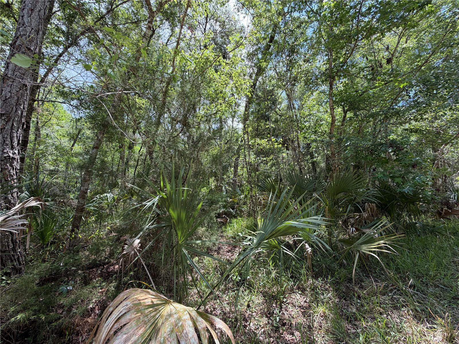 Image 18 of 29 For Tract 100 Cr-347