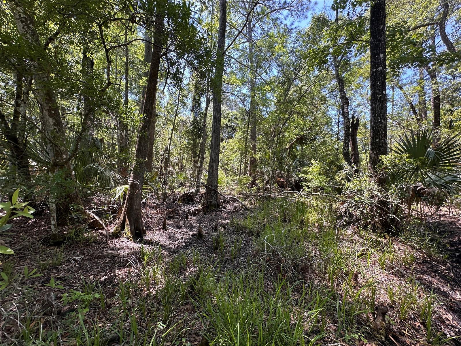 Image 23 of 29 For Tract 100 Cr-347