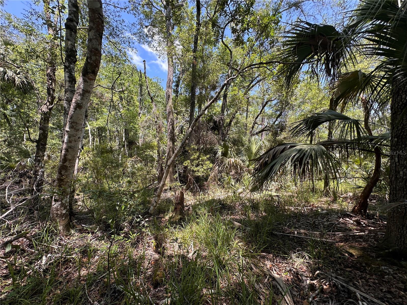 Image 24 of 29 For Tract 100 Cr-347