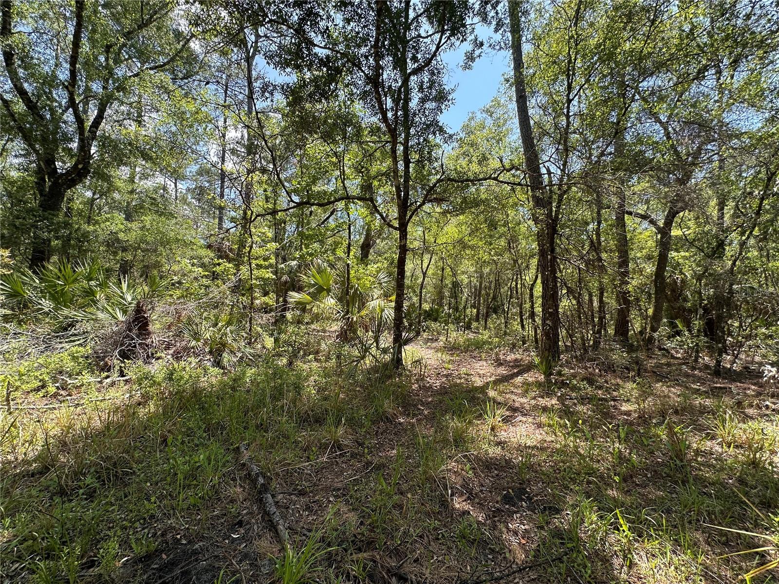 Image 27 of 29 For Tract 100 Cr-347