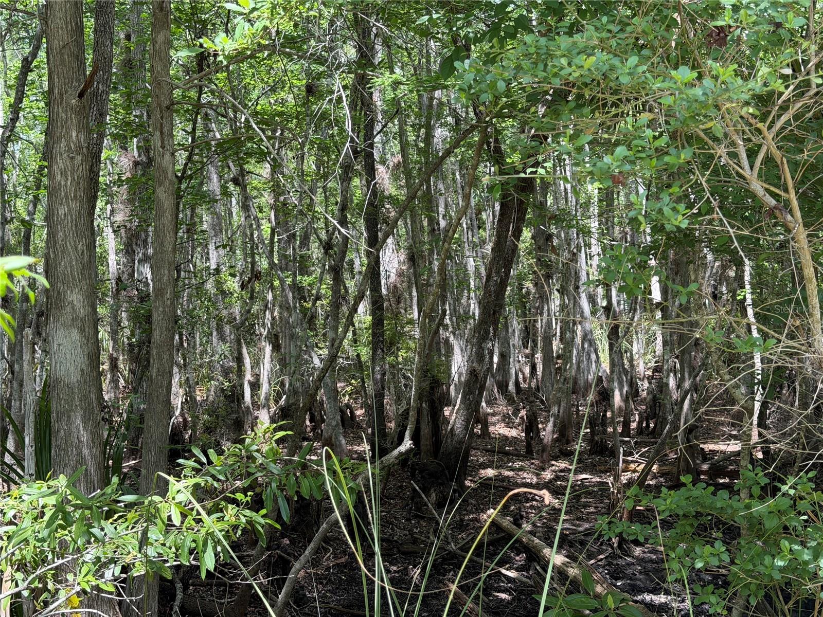 Image 15 of 29 For Tract 102 Cr-347