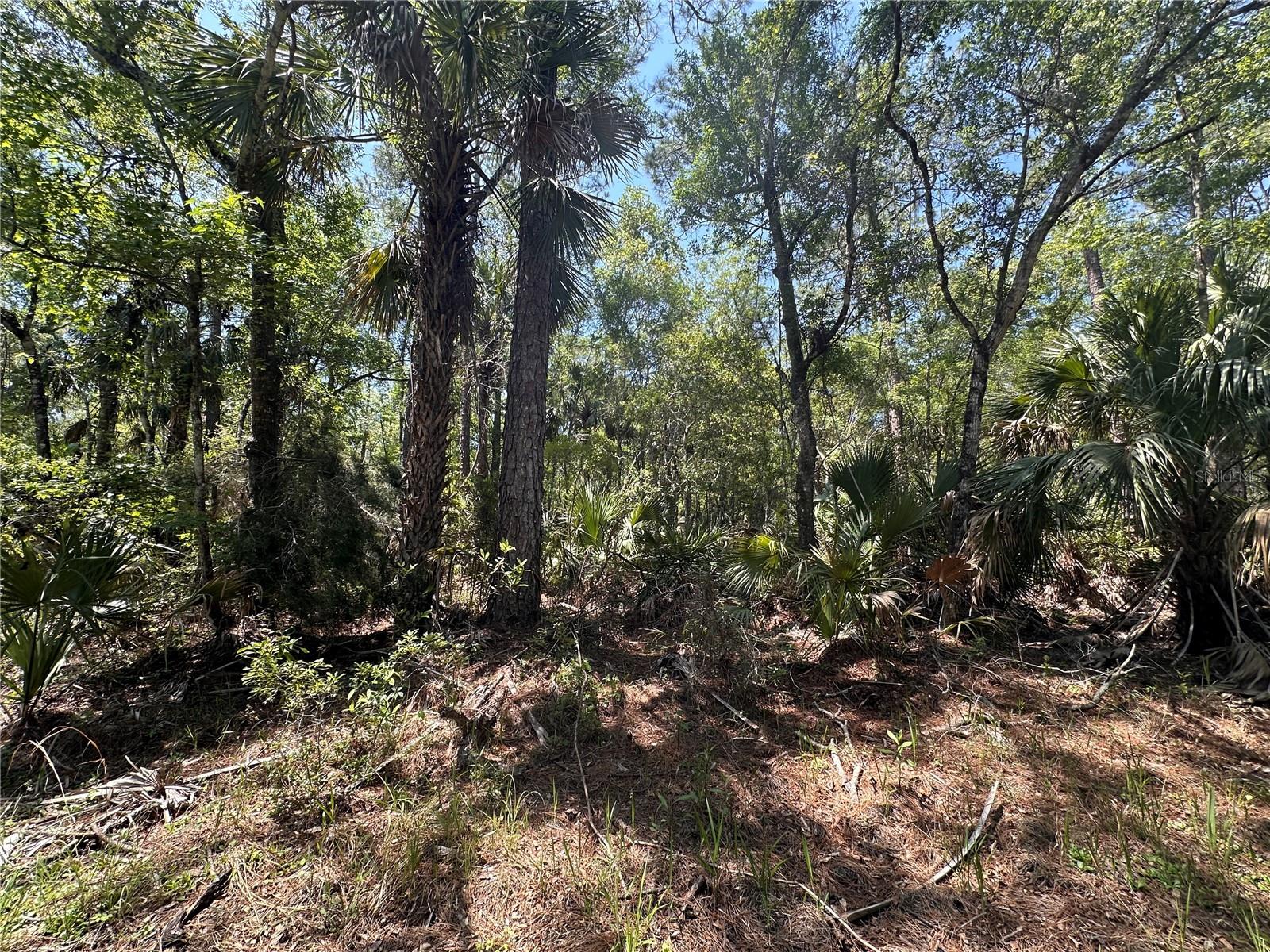 Image 21 of 29 For Tract 102 Cr-347