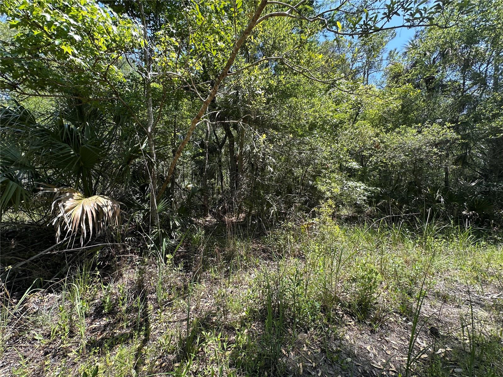 Image 22 of 29 For Tract 102 Cr-347