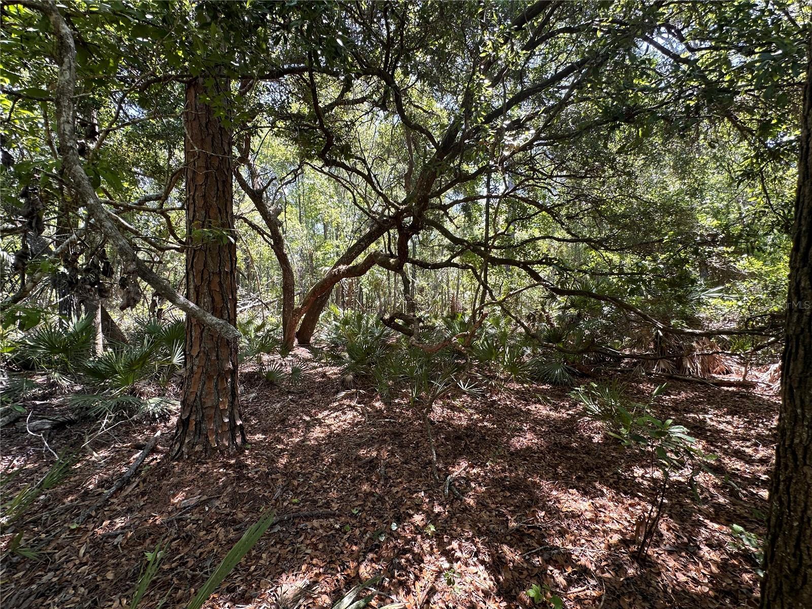 Image 26 of 29 For Tract 102 Cr-347