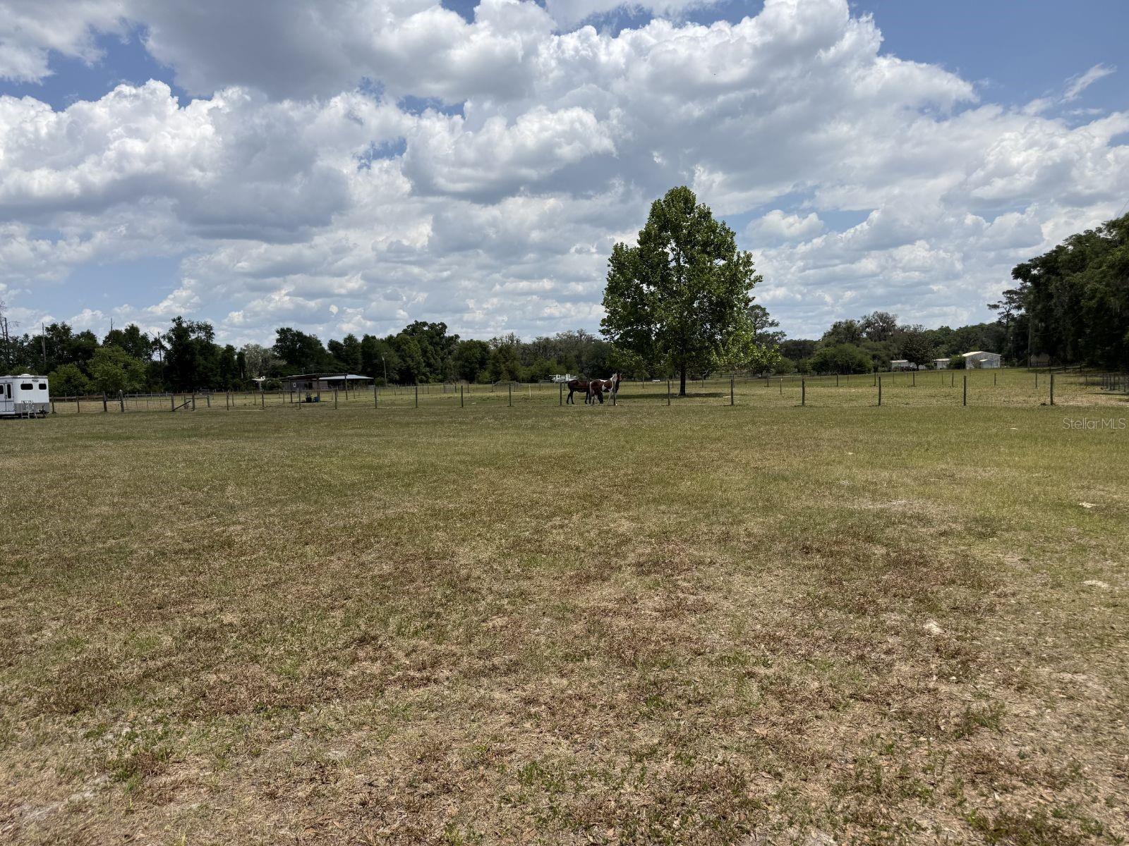 Image 14 of 22 For 3460 County Road 337