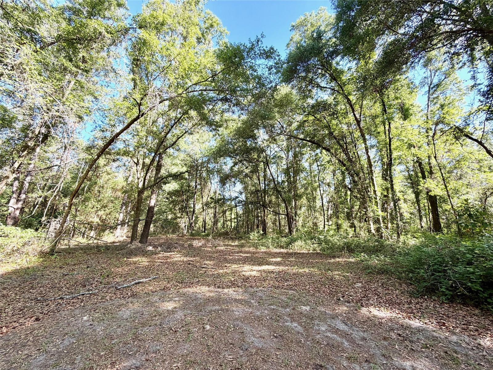 Image 14 of 19 For 25104 County Road 1491