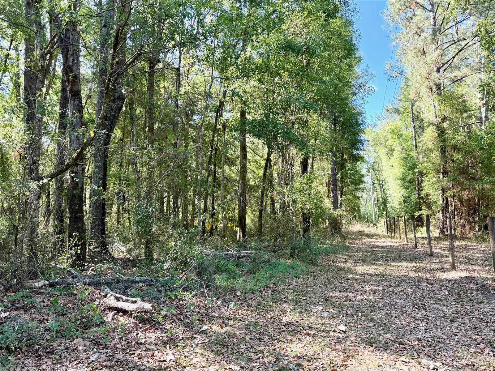 Image 15 of 19 For 25104 County Road 1491