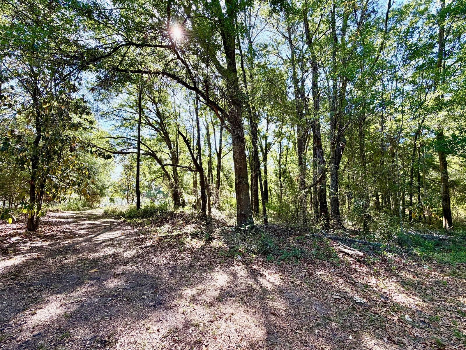 Image 16 of 19 For 25104 County Road 1491