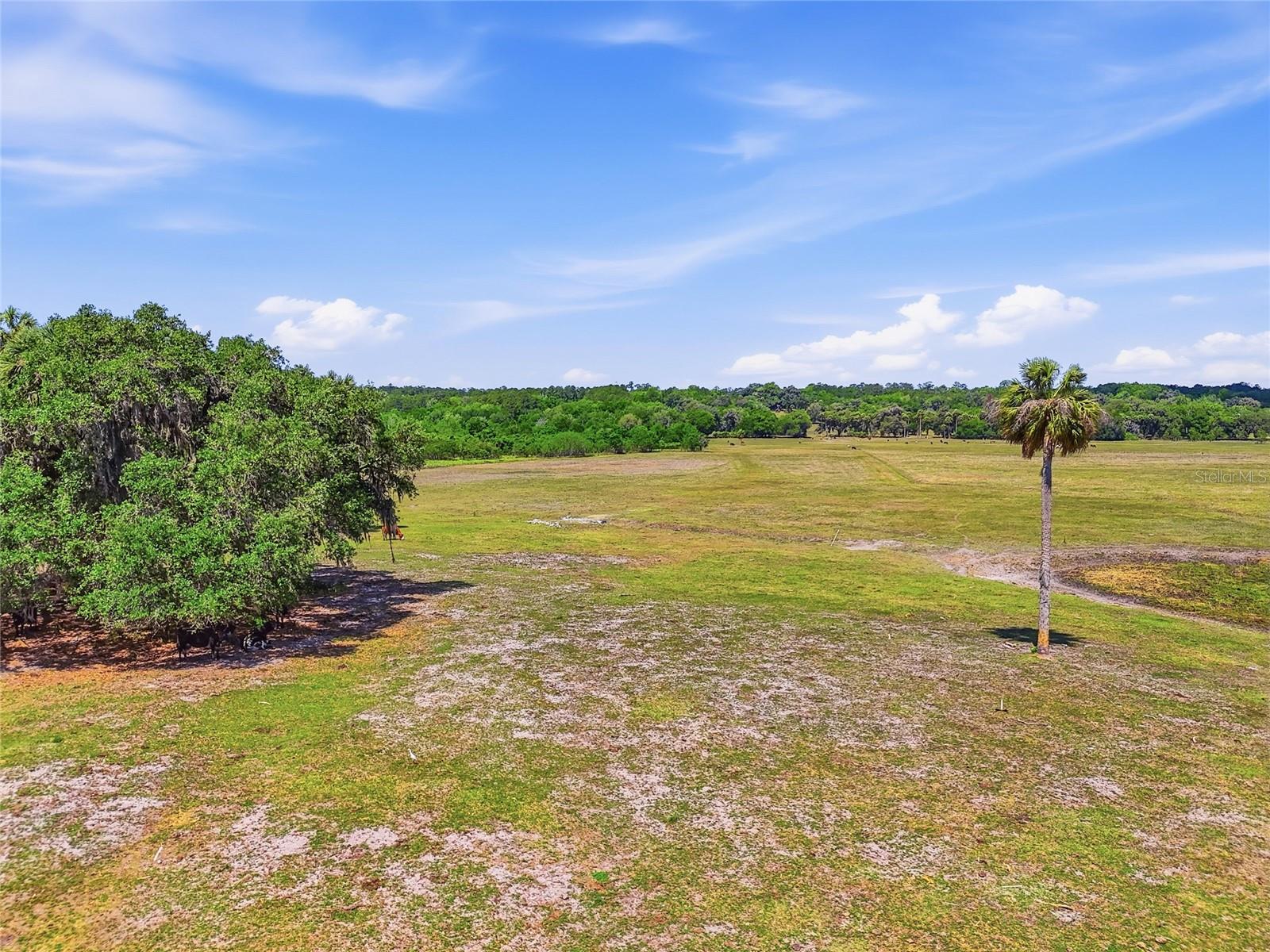 Image 37 of 52 For 22130 75th Avenue Road
