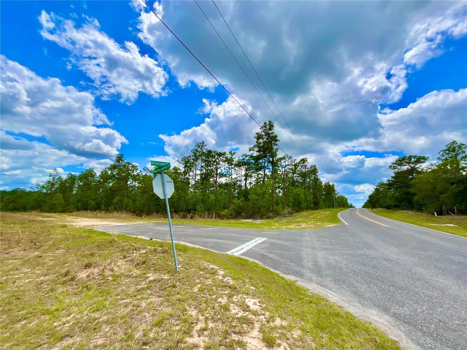 Listing photo id 8 for Melrose Landing Blvd