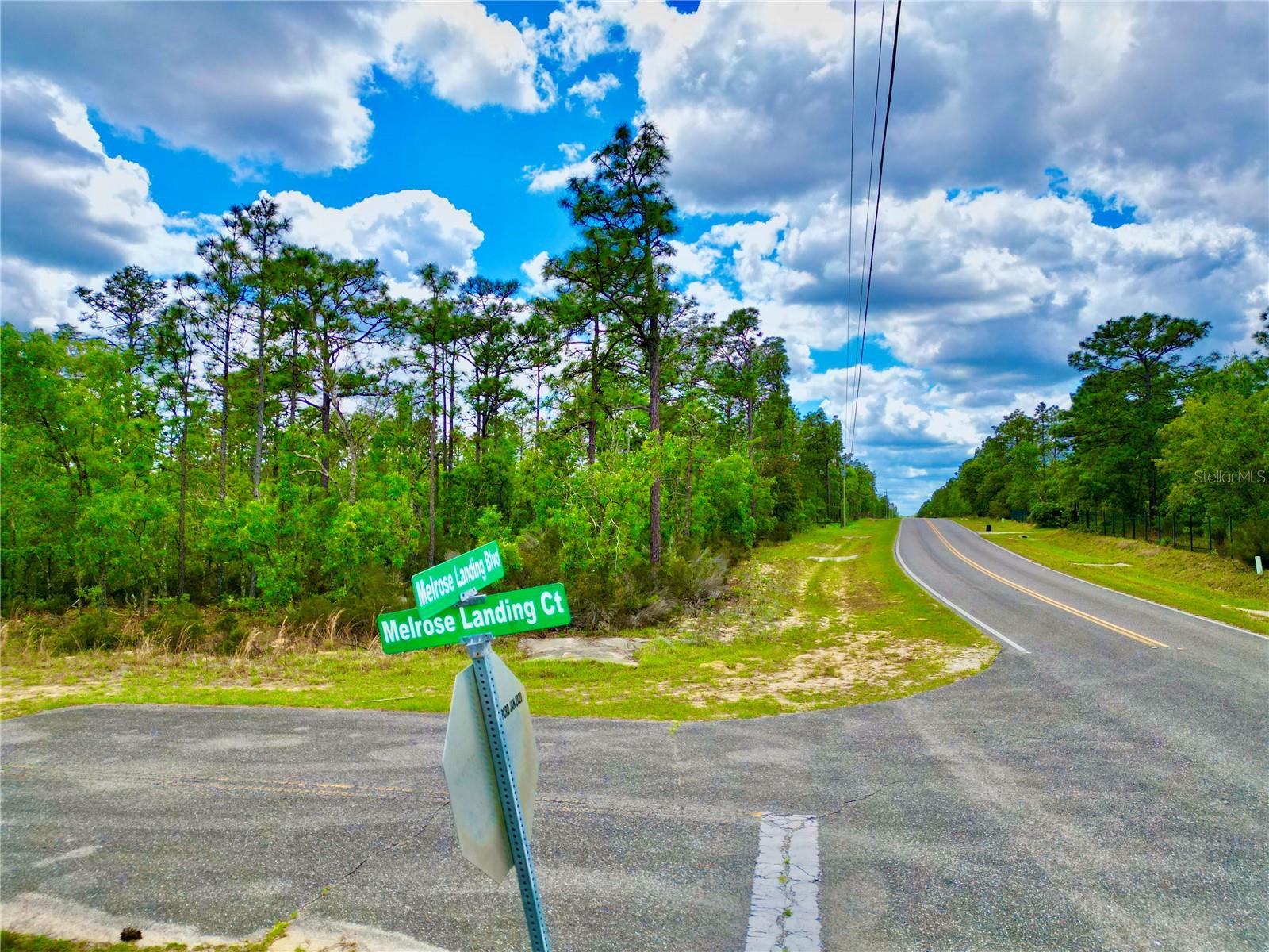 Listing photo id 9 for Melrose Landing Blvd