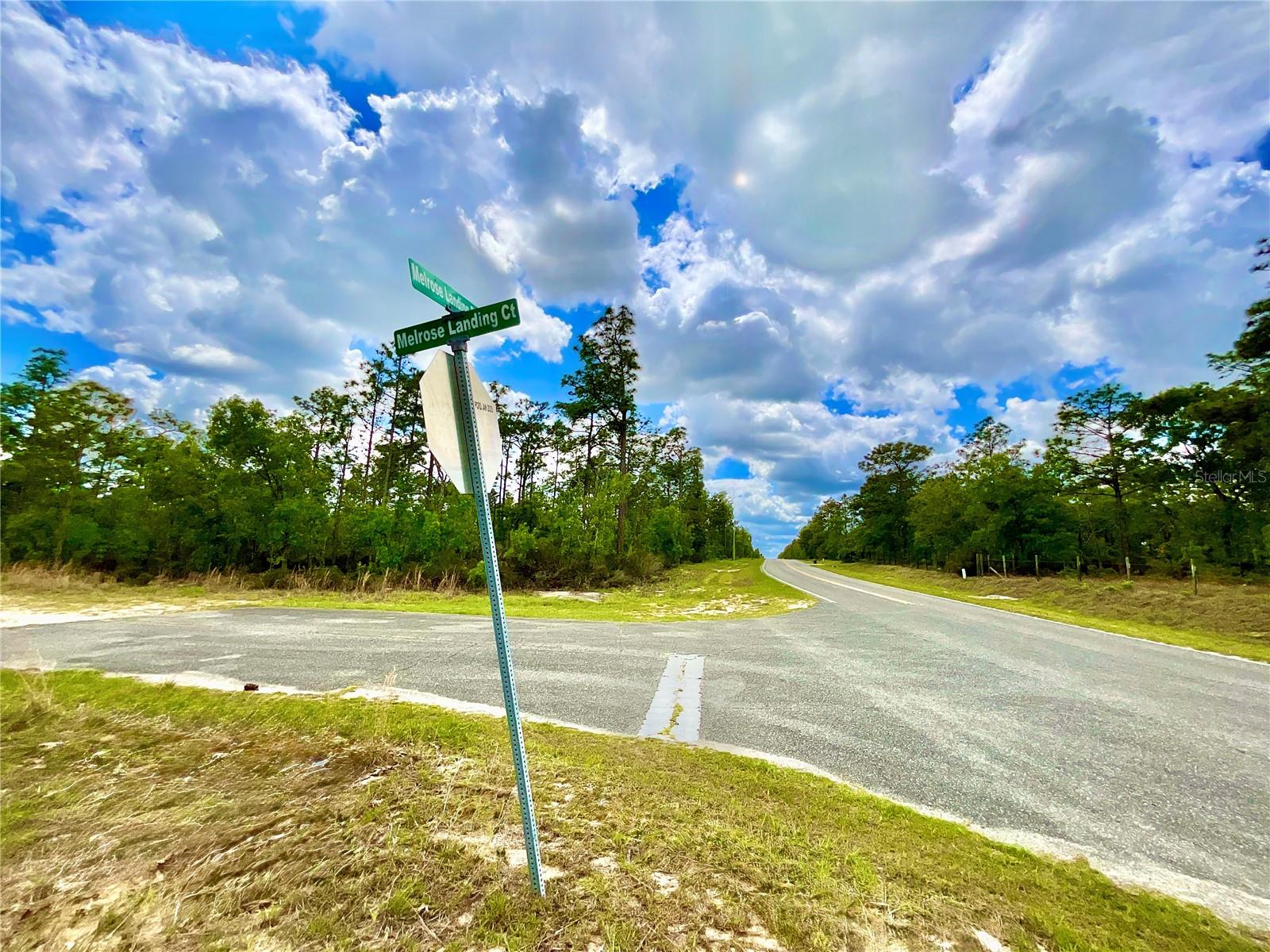 Listing photo id 2 for Melrose Landing Blvd