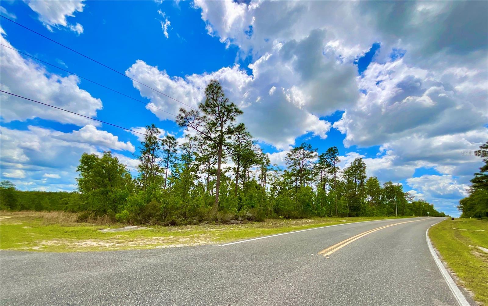Listing photo id 3 for Melrose Landing Blvd