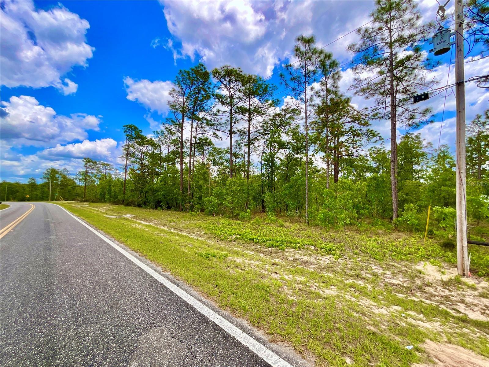 Listing photo id 4 for Melrose Landing Blvd