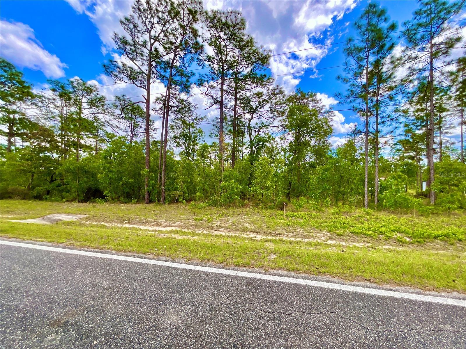 Listing photo id 6 for Melrose Landing Blvd