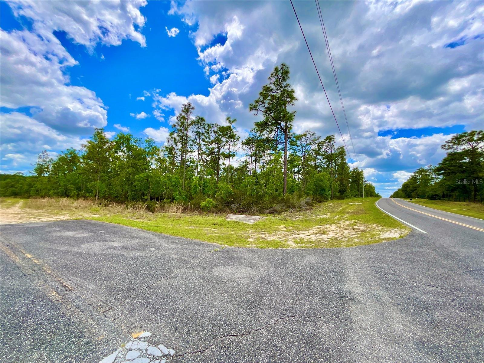 Listing photo id 7 for Melrose Landing Blvd