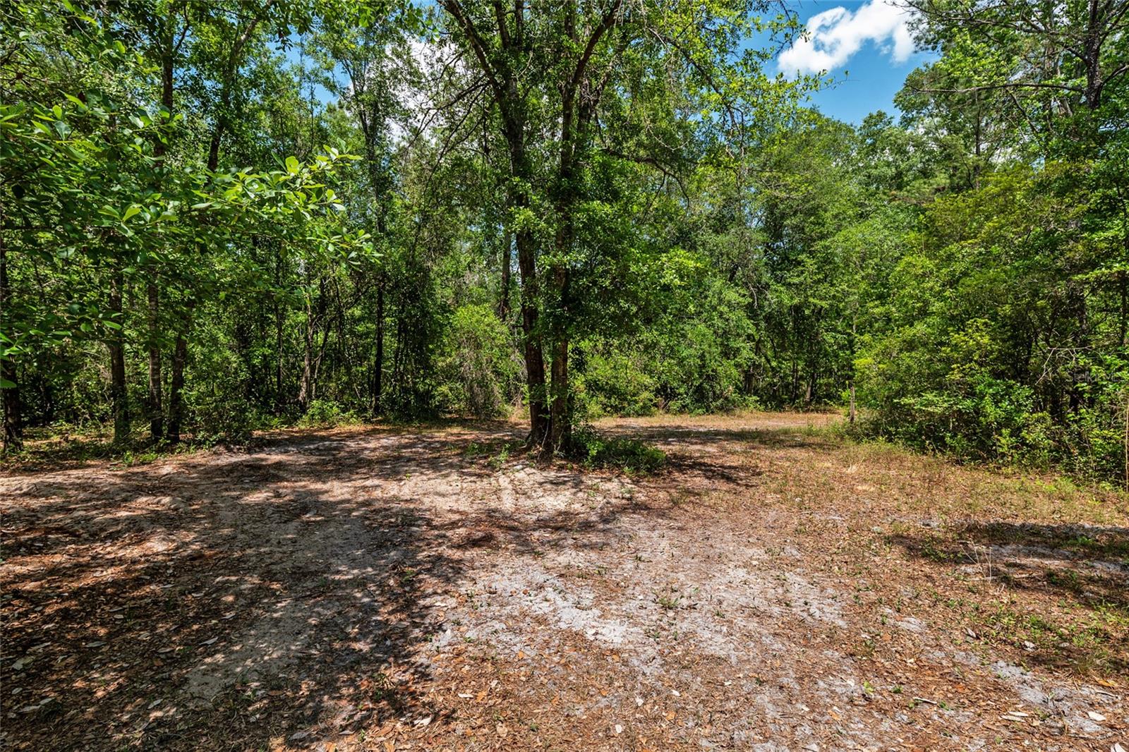 Image 10 of 94 For 4814 244 Avenue
