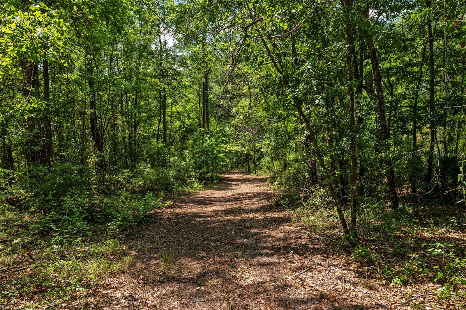 Image 11 of 94 For 4814 244 Avenue