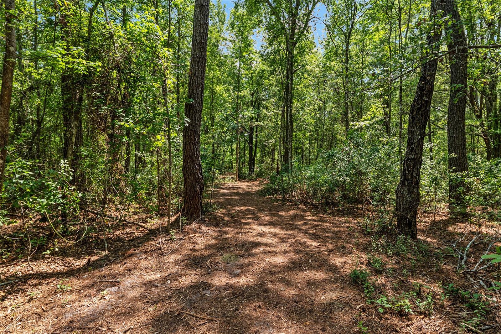 Image 12 of 94 For 4814 244 Avenue