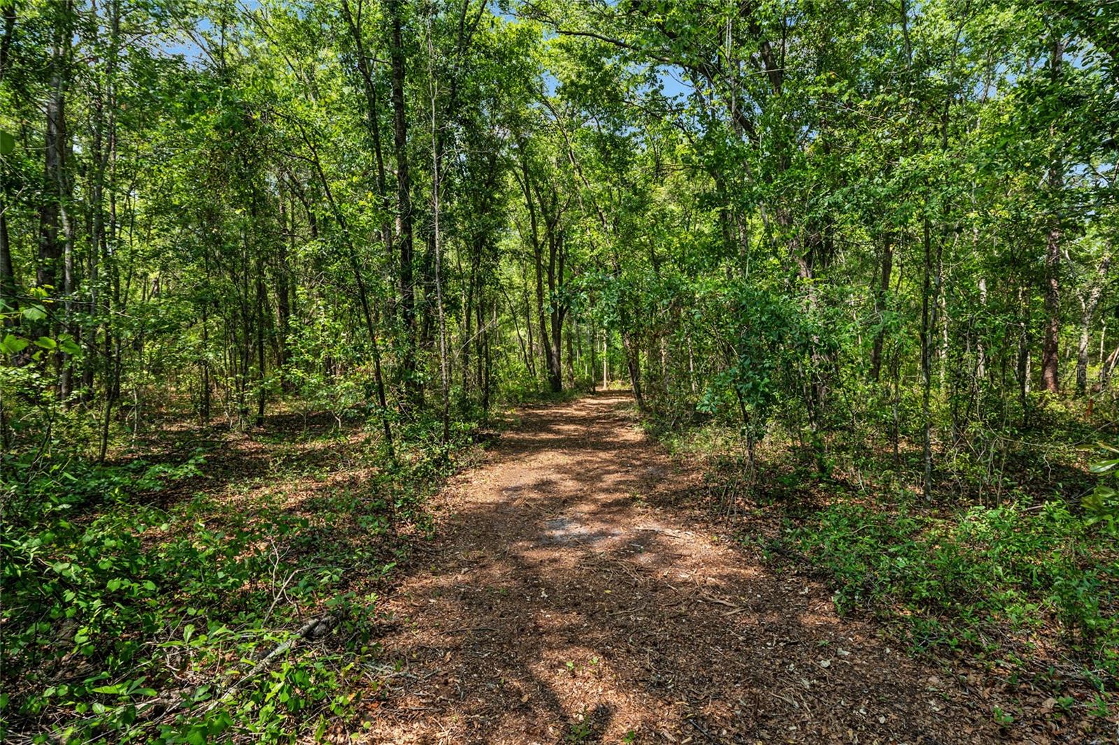 Image 13 of 94 For 4814 244 Avenue