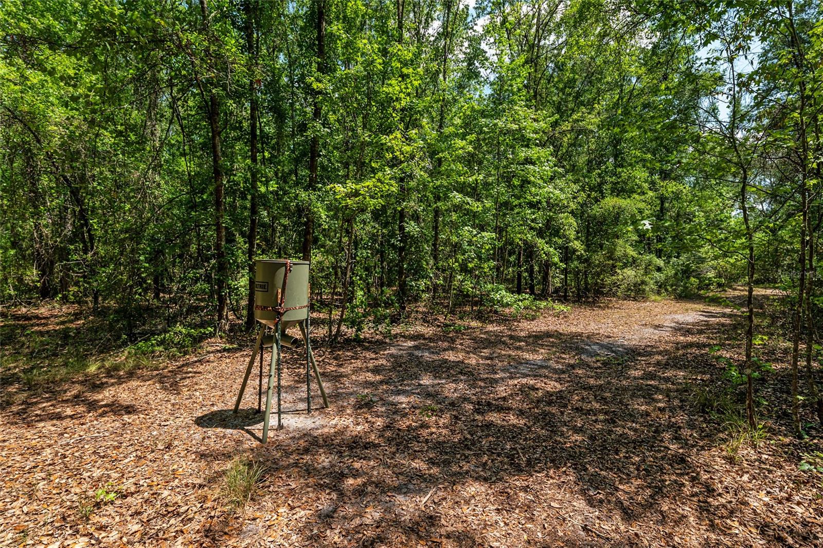 Image 15 of 94 For 4814 244 Avenue