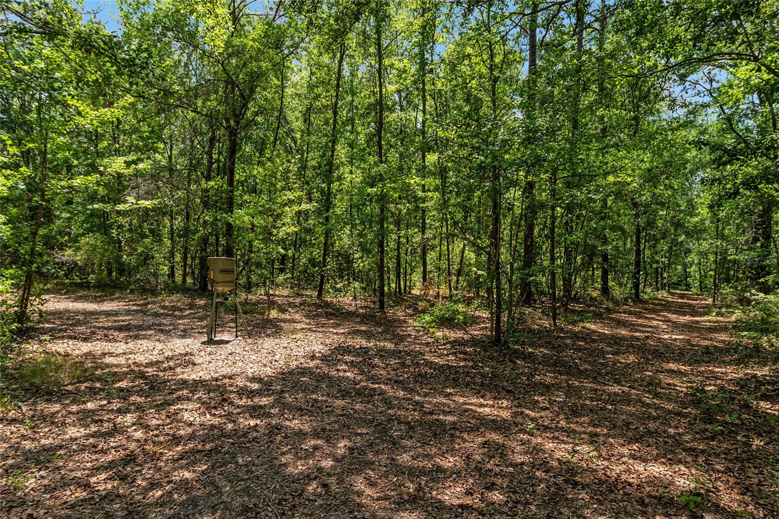 Image 16 of 94 For 4814 244 Avenue