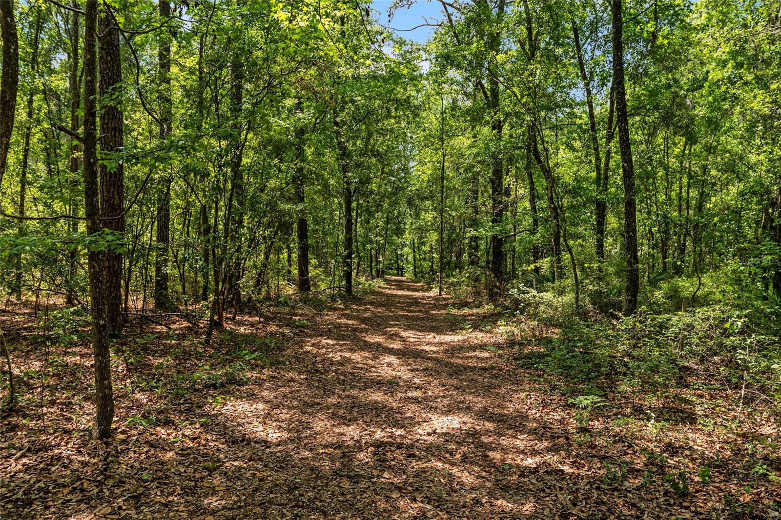 Image 18 of 94 For 4814 244 Avenue