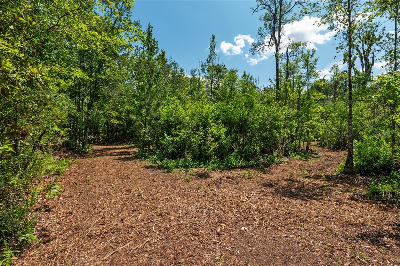 Image 19 of 94 For 4814 244 Avenue