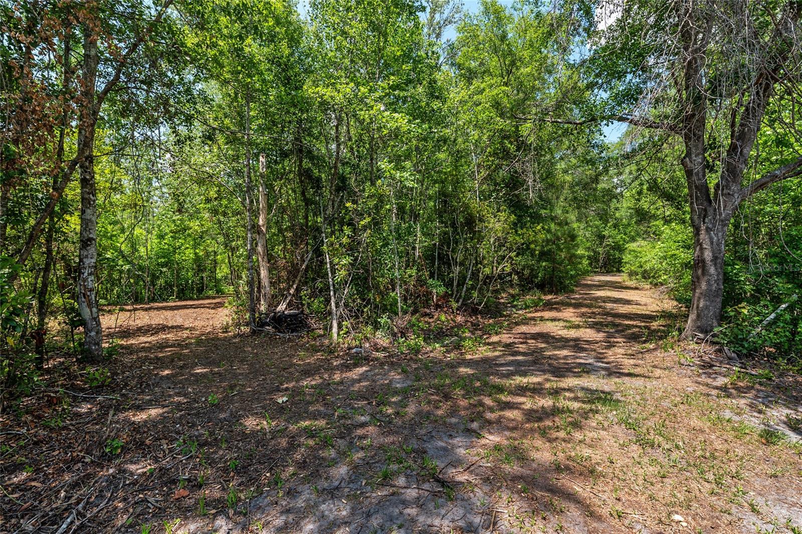 Image 6 of 94 For 4814 244 Avenue