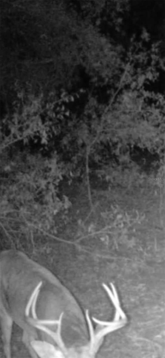 Image 65 of 94 For 4814 244 Avenue
