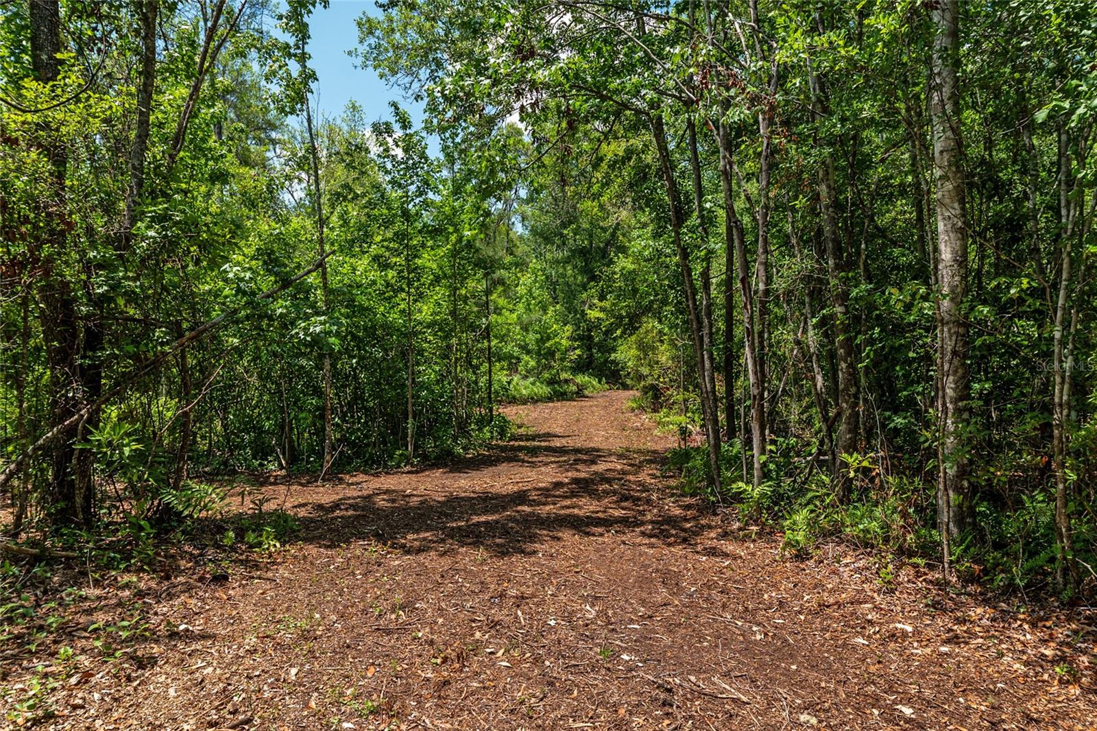 Image 7 of 94 For 4814 244 Avenue
