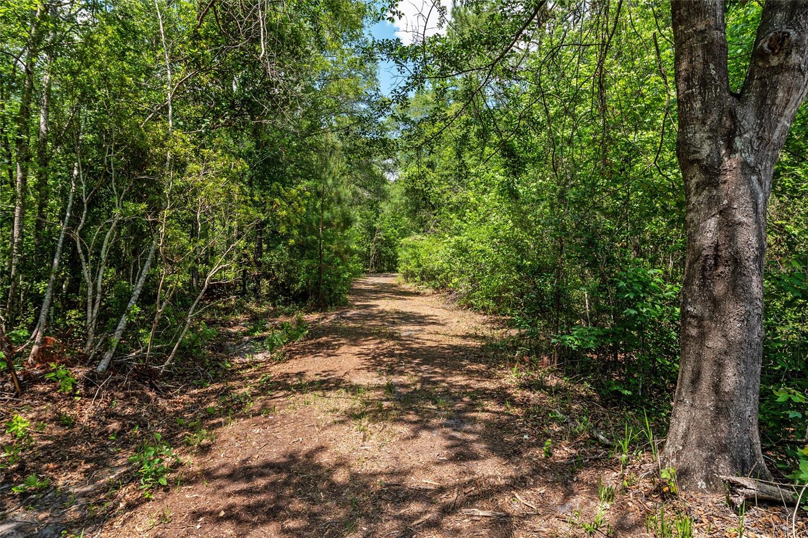 Image 8 of 94 For 4814 244 Avenue