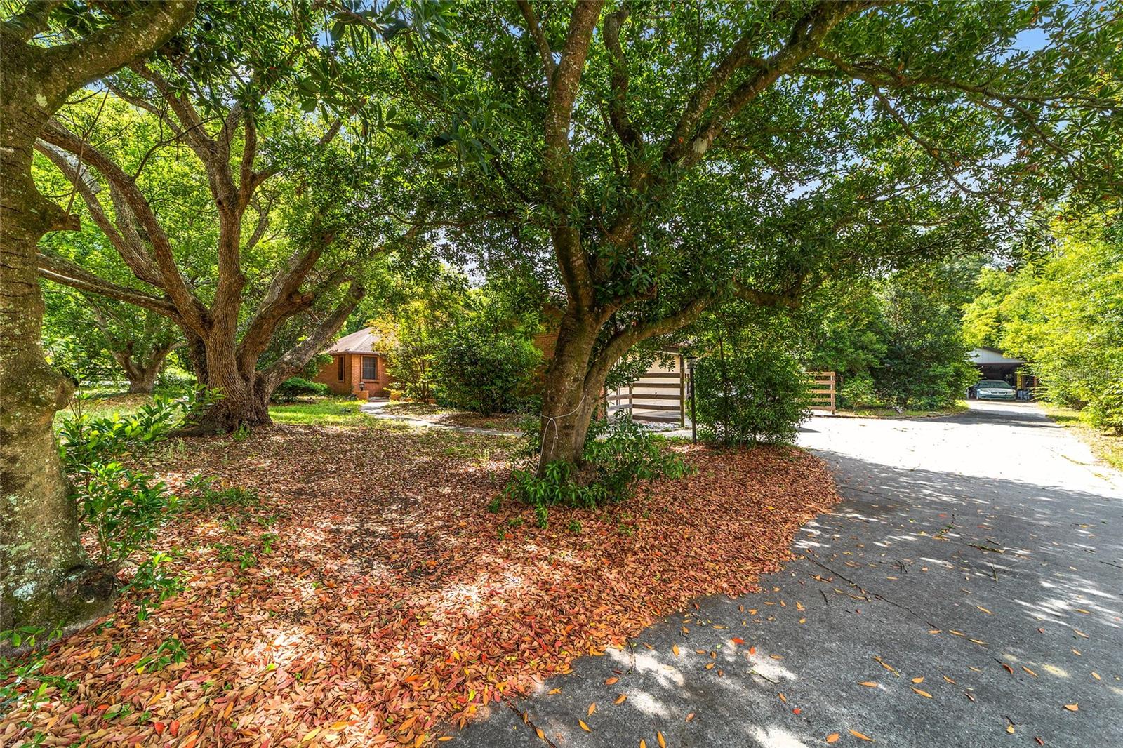 Image 5 of 72 For 5670 34th Street