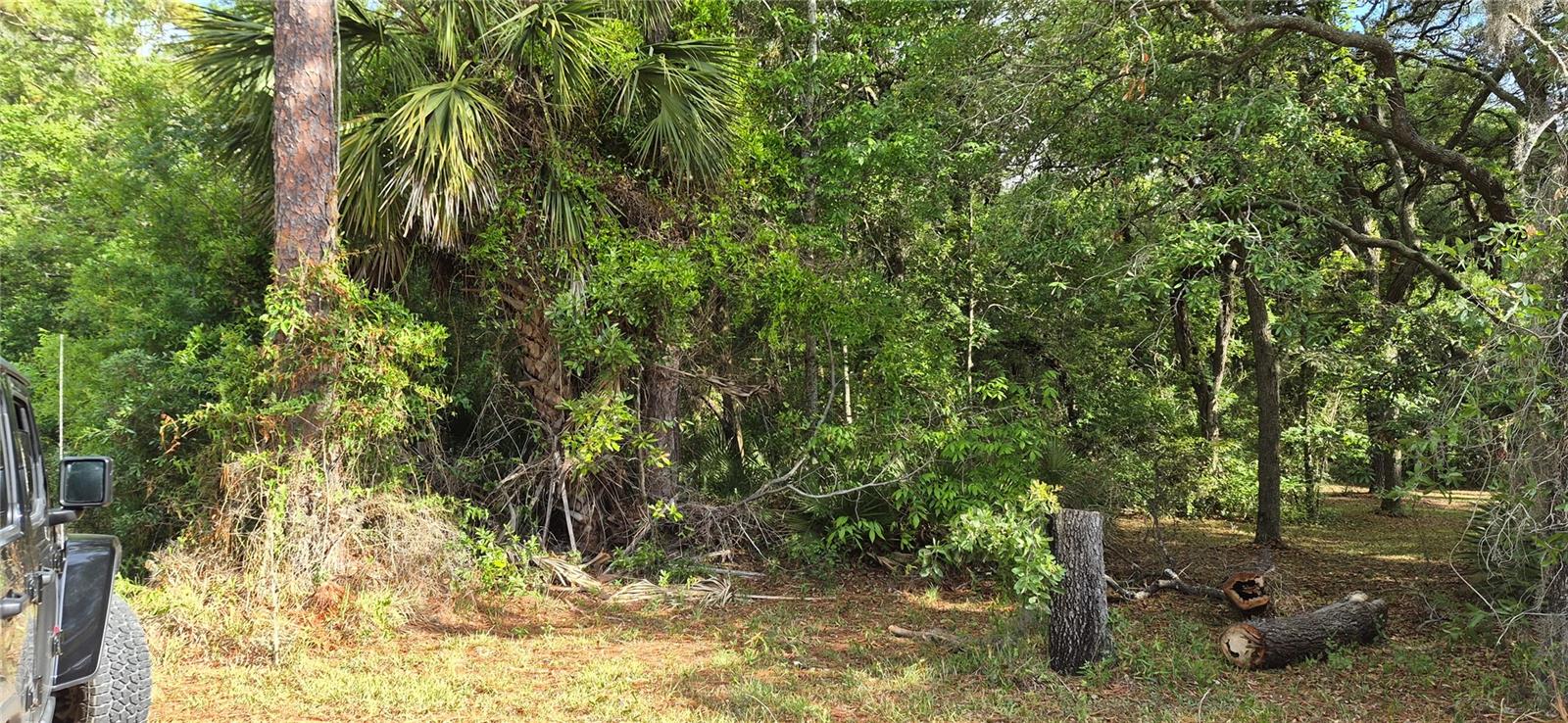 Details for 9351 120th Street, CHIEFLAND, FL 32626