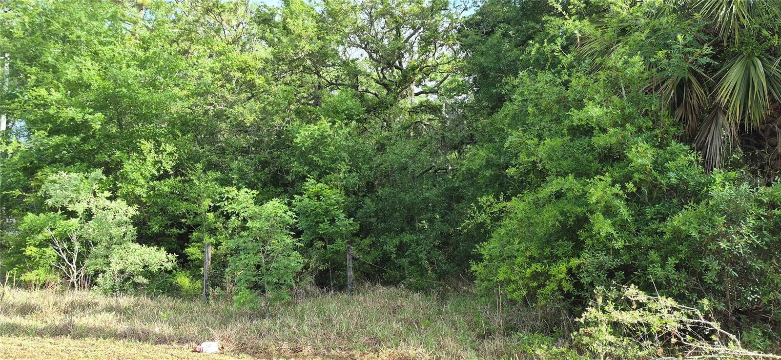 Image 3 of 9 For 9351 120th Street