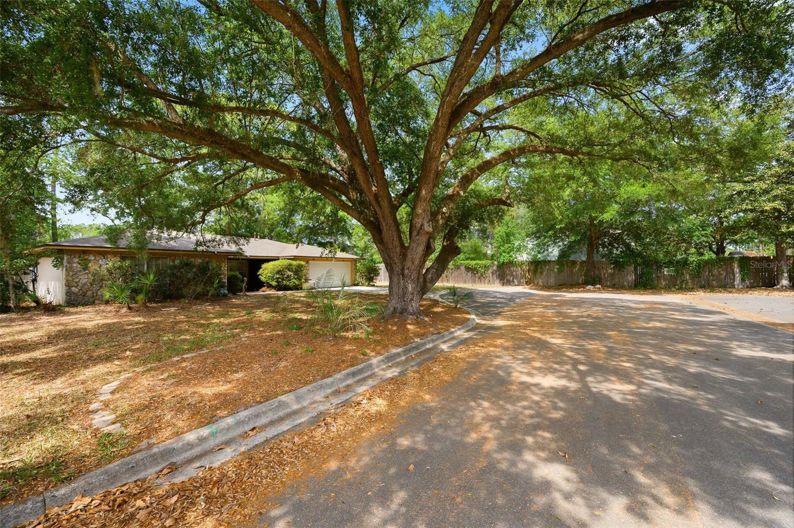 Image 19 of 21 For 2416 55th Boulevard