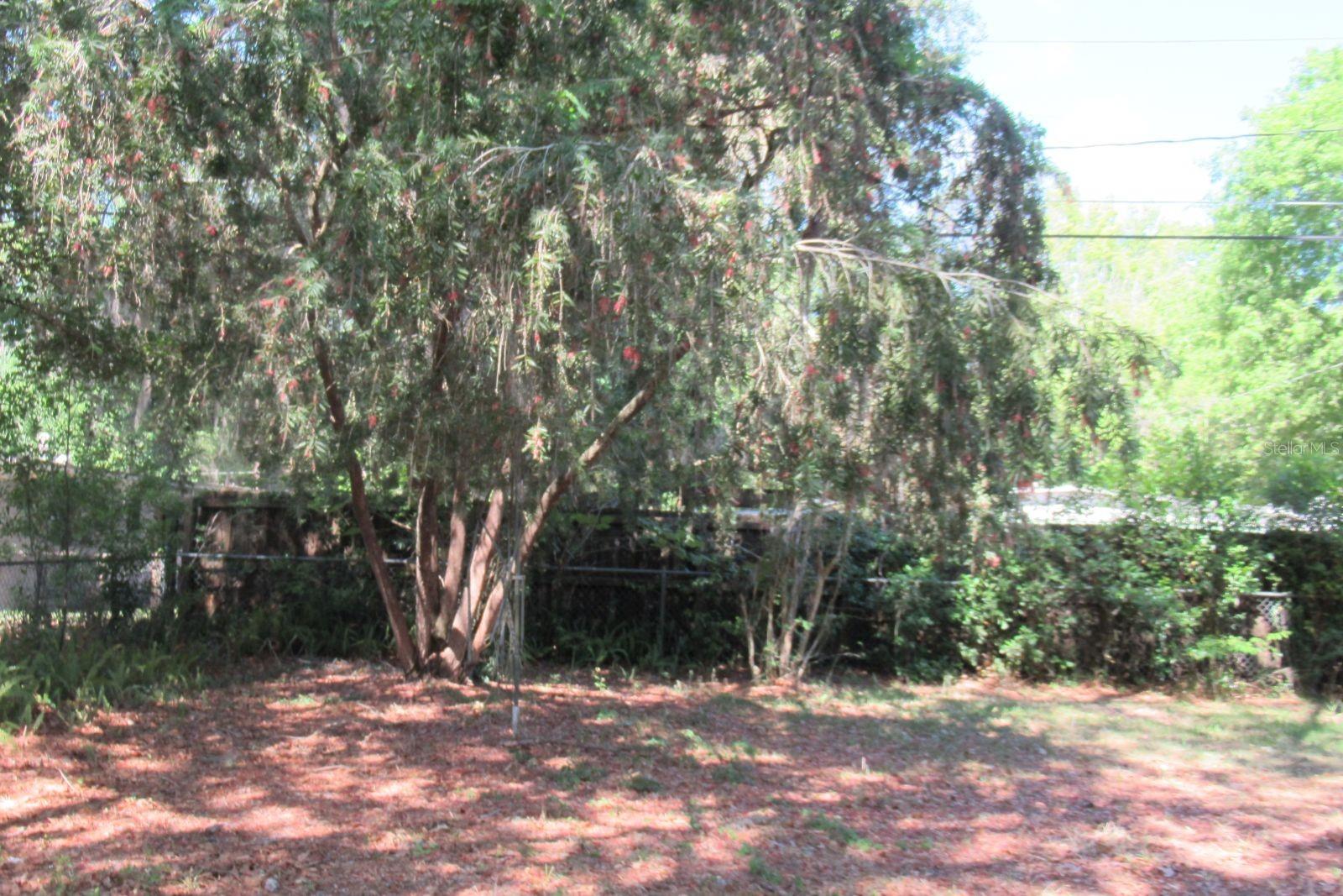 Image 9 of 11 For 3004 10th Drive