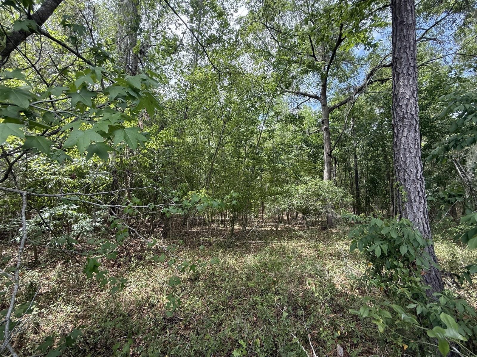 Image 19 of 23 For 11570 74th Terrace