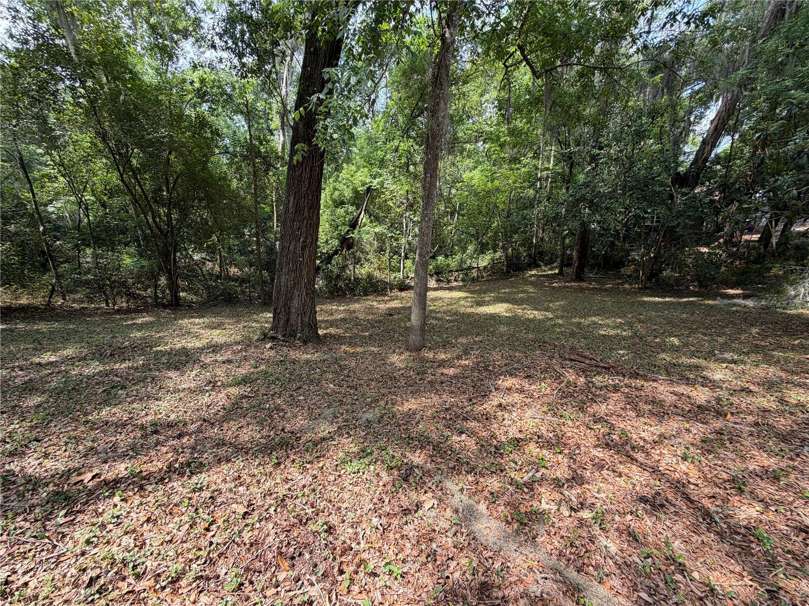 Image 8 of 15 For 1723 14th Avenue