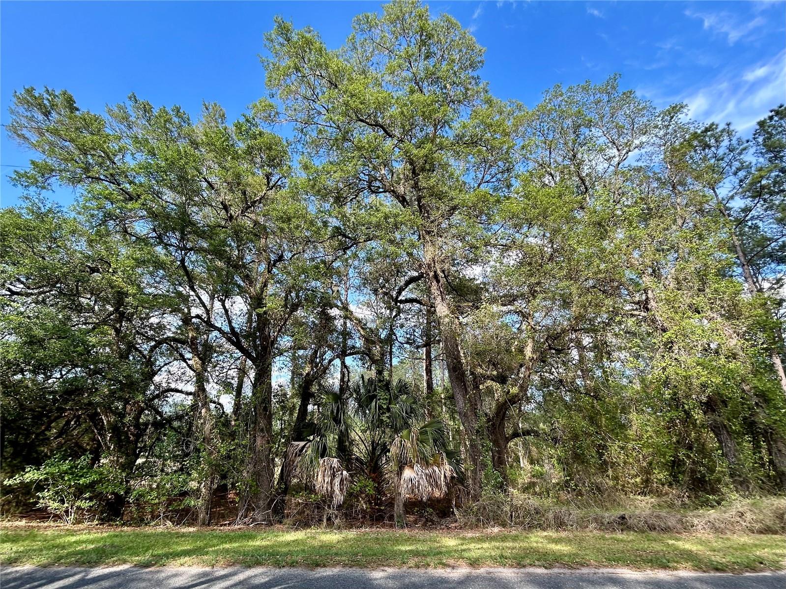 Details for 4819 211th Drive, EARLETON, FL 32631