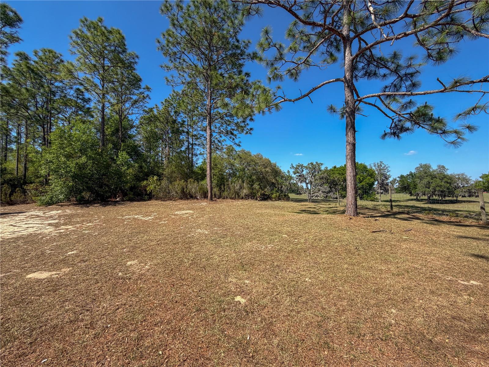 Image 9 of 46 For 4497 142nd Avenue