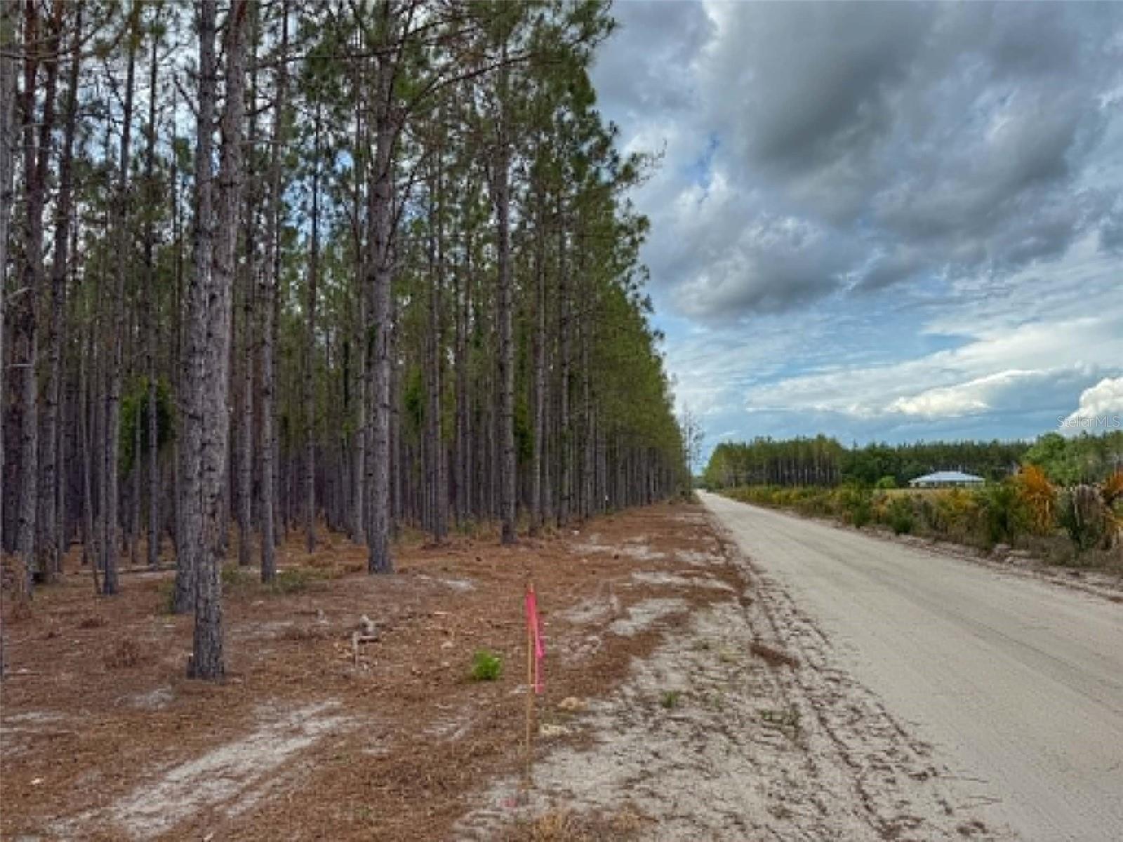 Image 3 of 7 For Tbd Pearl Fletcher Road