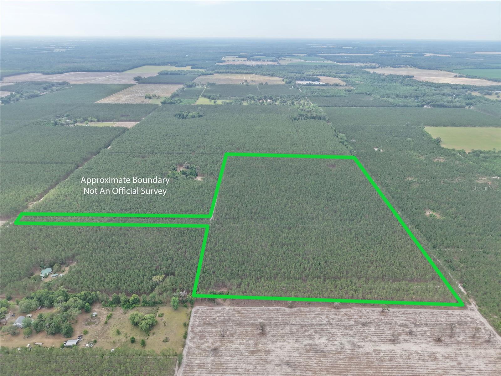 Image 6 of 7 For Tbd Pearl Fletcher Road